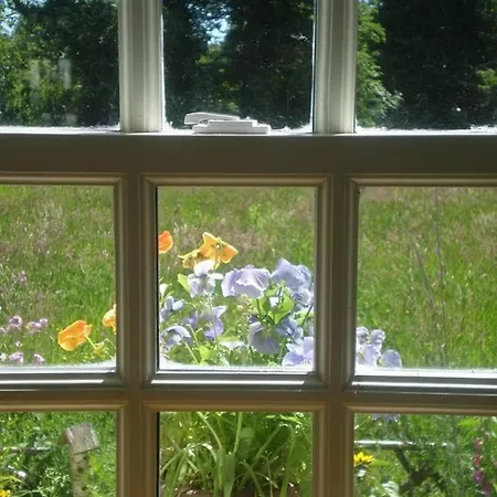 Restored 300yr Old Thatched Tigh Na Ri Rua 펜션 Kiltegan