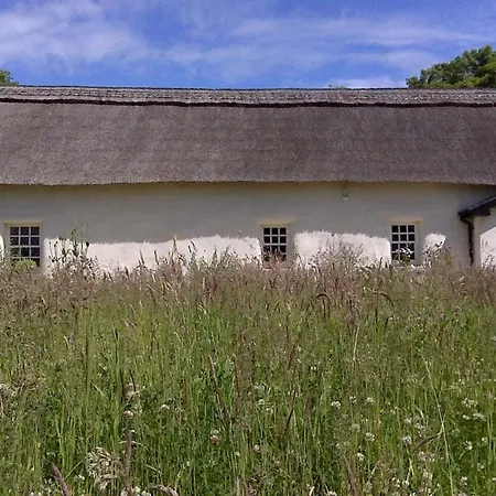 Restored 300yr Old Thatched Tigh Na Ri Rua Kiltegan