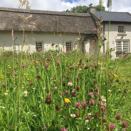 Restored 300yr Old Thatched Tigh Na Ri Rua Дом отдыха Kiltegan