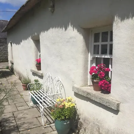 Restored 300yr Old Thatched Tigh Na Ri Rua * Kiltegan